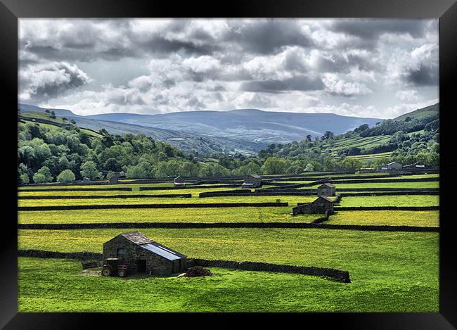 Dalescape ~ Swaledale, The Dales #4 Framed Print by Sandi-Cockayne ADPS