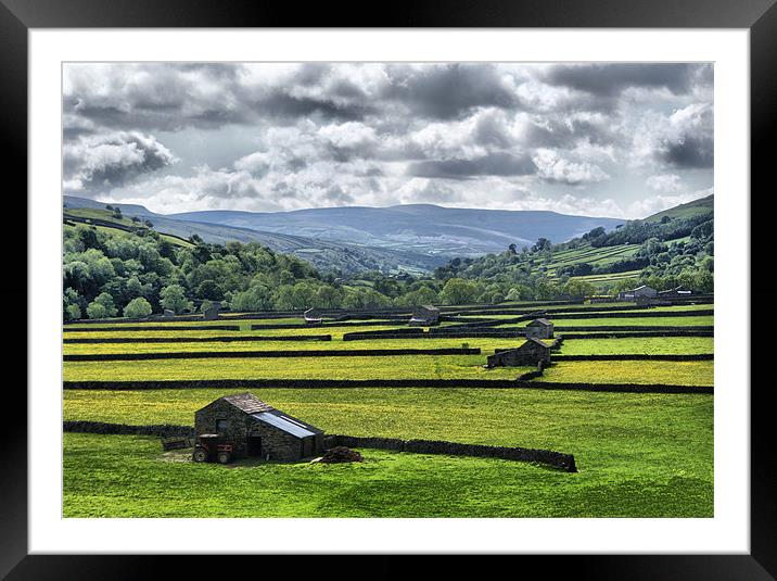 Dalescape ~ Swaledale, The Dales #4 Framed Mounted Print by Sandi-Cockayne ADPS