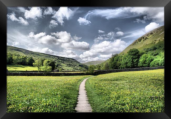 Dalescape ~ Muker Meadow Framed Print by Sandi-Cockayne ADPS