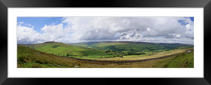 Dalescape ~ Wensleydale ~ Panorama Framed Mounted Print by Sandi-Cockayne ADPS