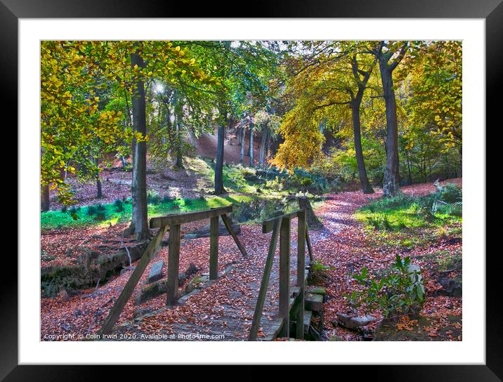 Forest Bridge Framed Mounted Print by Colin irwin