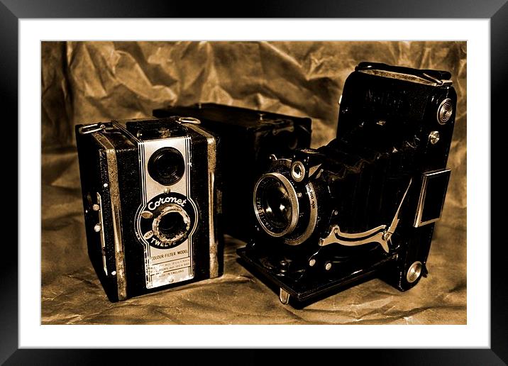 Old Cameras 2 Framed Mounted Print by Samantha Higgs