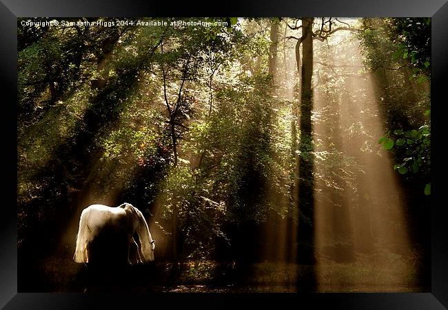  Horse In The Mist Framed Print by Samantha Higgs