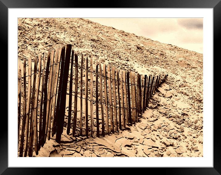 Fence - Dune of Pilat Framed Mounted Print by Samantha Higgs