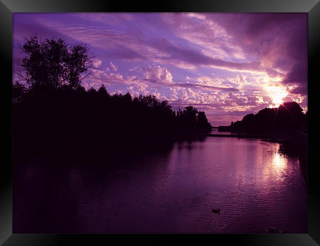 Purple Sunset Framed Print by Samantha Higgs