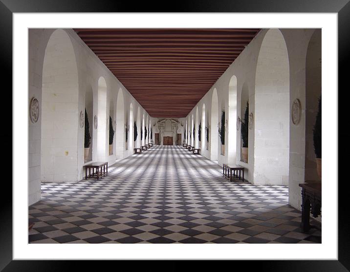 Gallery in Chateau Chenonceau Framed Mounted Print by Elan Tanzer