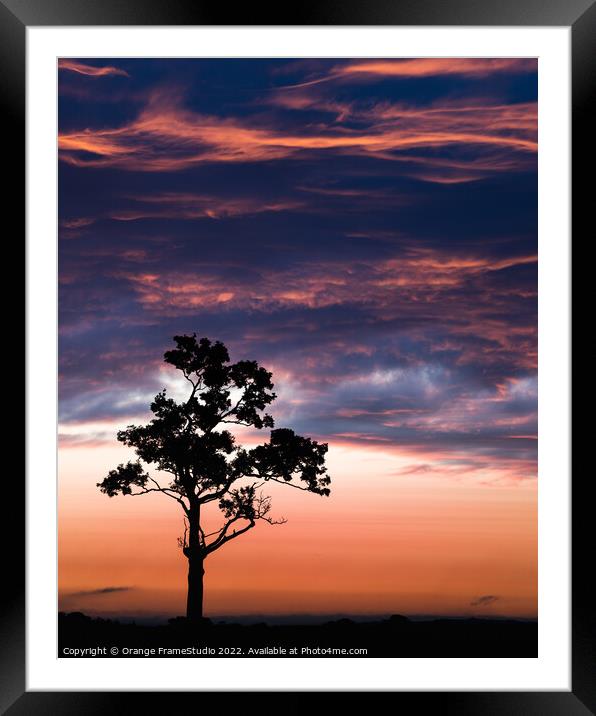 Tree Silhouette  Framed Mounted Print by Orange FrameStudio