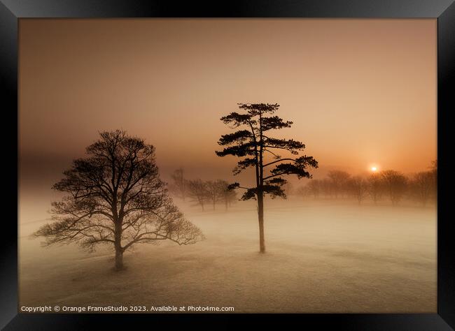 Sunrise on misty morning trees Framed Print by Orange FrameStudio