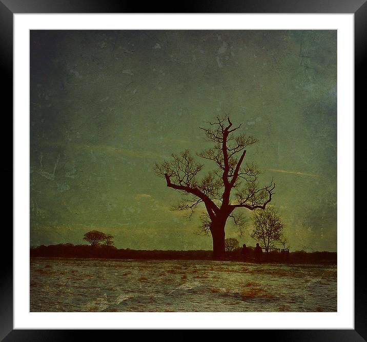 Winter Sillouette.. Framed Mounted Print by Rosanna Zavanaiu