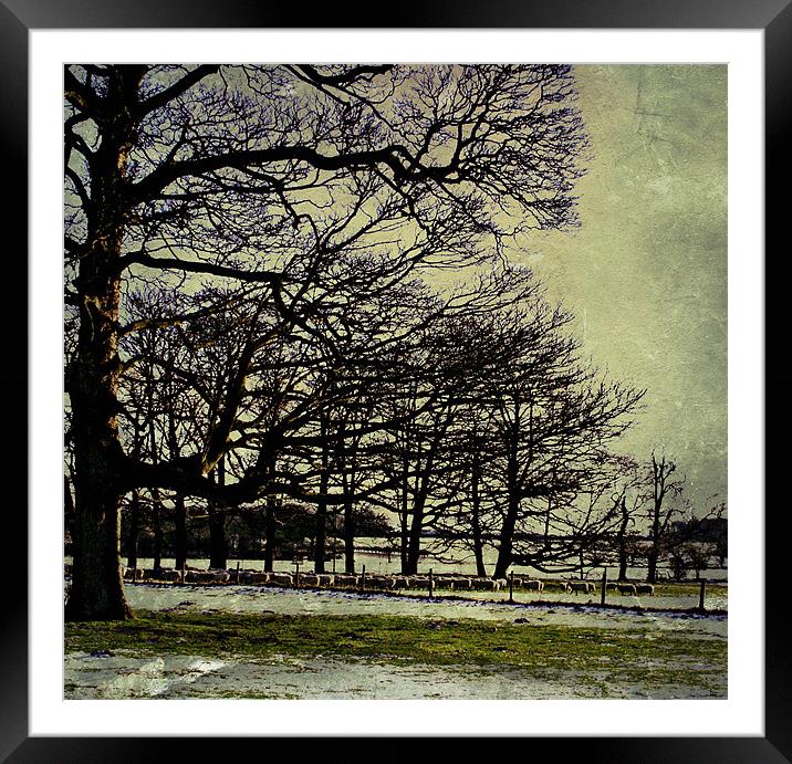 Winters Scene.. Framed Mounted Print by Rosanna Zavanaiu