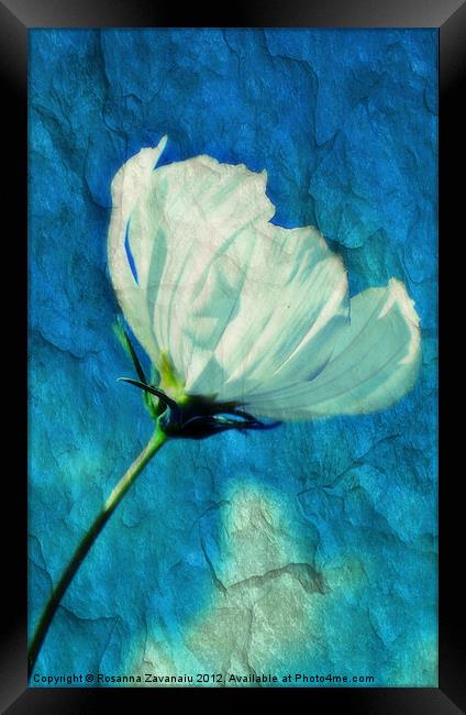 Blue Texture Flower. Framed Print by Rosanna Zavanaiu
