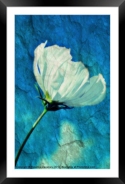 Blue Texture Flower. Framed Mounted Print by Rosanna Zavanaiu
