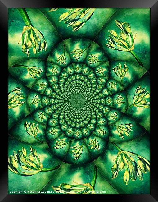 Floral Kaleidoscope. Framed Print by Rosanna Zavanaiu