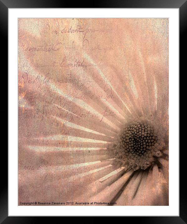 Floral Textures. Framed Mounted Print by Rosanna Zavanaiu