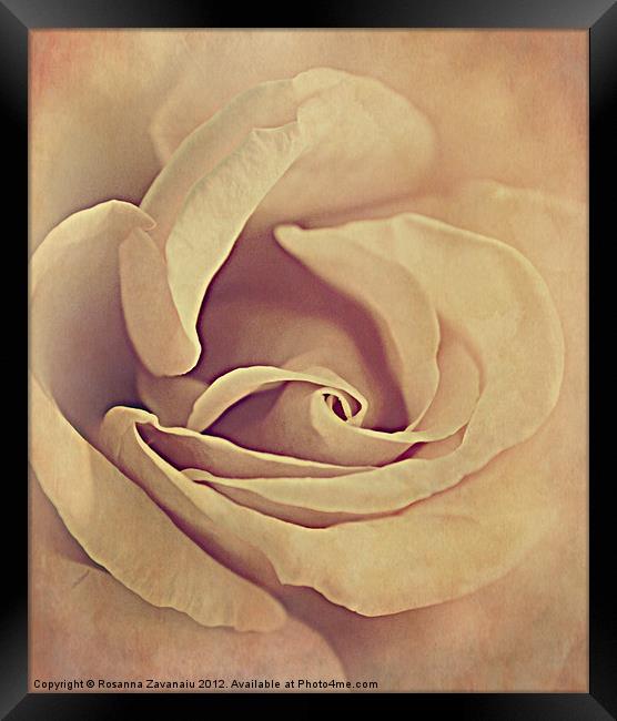 Rose textures. Framed Print by Rosanna Zavanaiu