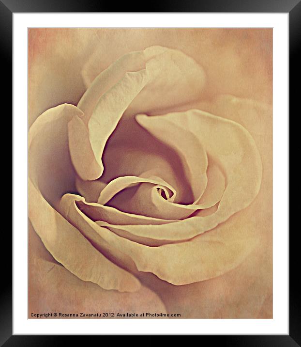 Rose textures. Framed Mounted Print by Rosanna Zavanaiu