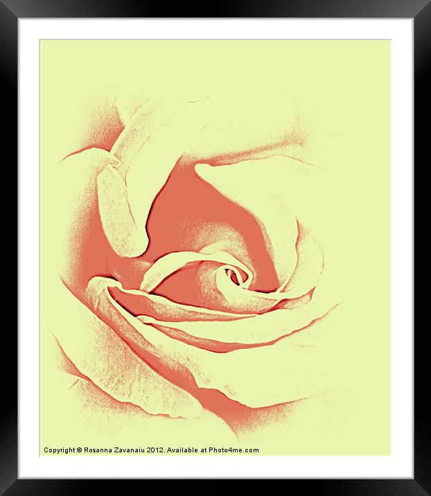 Rose sillouette Framed Mounted Print by Rosanna Zavanaiu