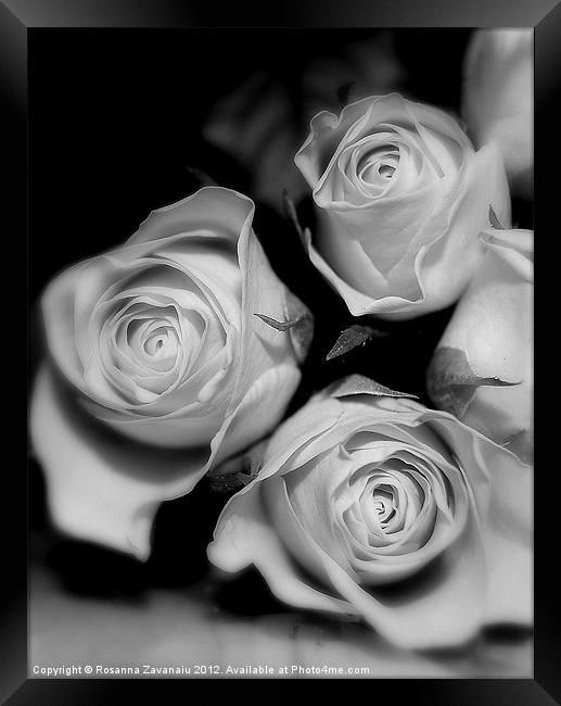 Black & white Rose Bunches. Framed Print by Rosanna Zavanaiu