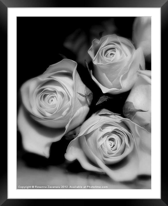 Black & white Rose Bunches. Framed Mounted Print by Rosanna Zavanaiu