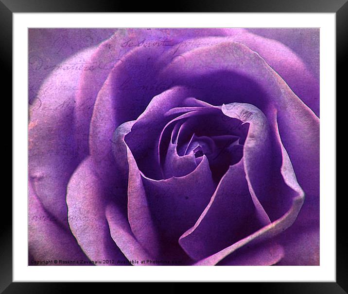 Purple BlueTextures Rose. Framed Mounted Print by Rosanna Zavanaiu