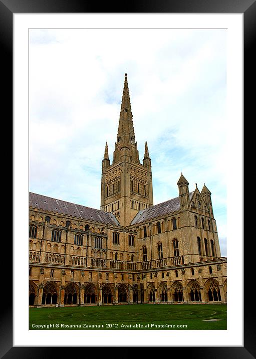 Norwich Cathedral Framed Mounted Print by Rosanna Zavanaiu