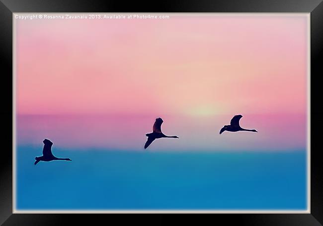Three Geese Sillouettes Framed Print by Rosanna Zavanaiu