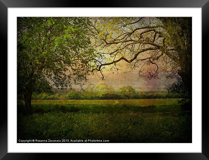 Rural Norfolk Sunset. Framed Mounted Print by Rosanna Zavanaiu