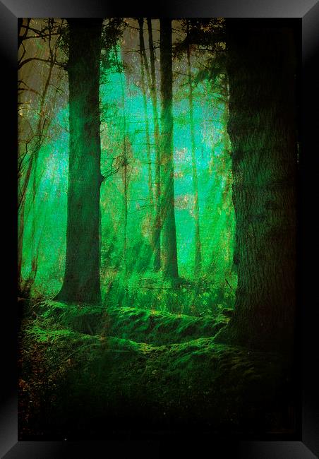 Through The Mystical Woods.. Framed Print by Rosanna Zavanaiu