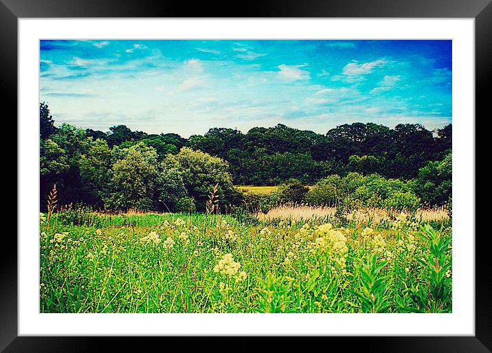  Secluded Norwich Framed Mounted Print by Rosanna Zavanaiu