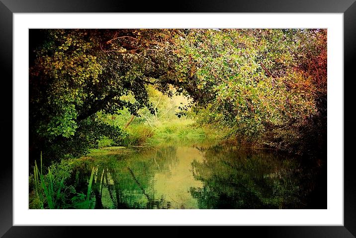  Autumn Walks.. Framed Mounted Print by Rosanna Zavanaiu