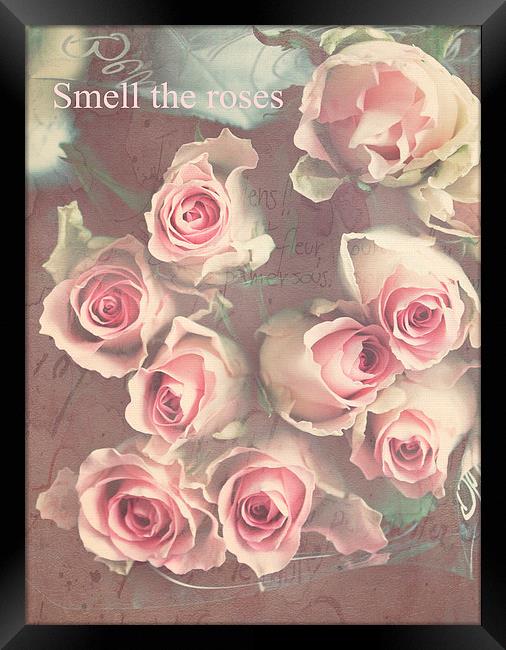  Smell The Roses .. Framed Print by Rosanna Zavanaiu
