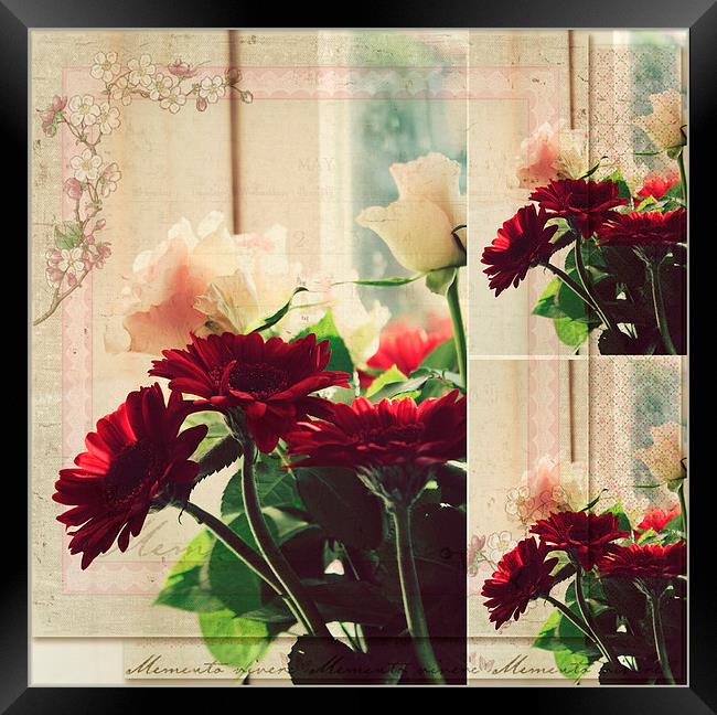  Flowers For you .. Framed Print by Rosanna Zavanaiu