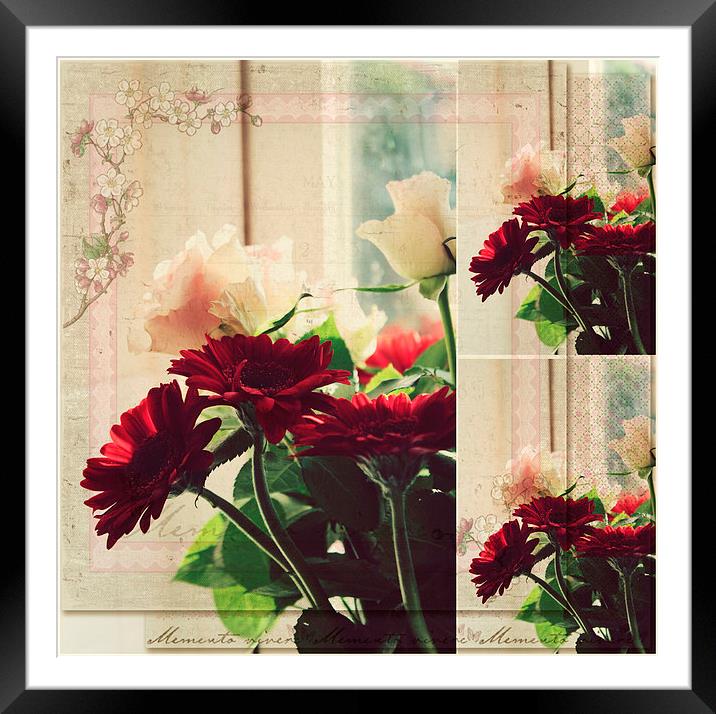 Flowers For you .. Framed Mounted Print by Rosanna Zavanaiu