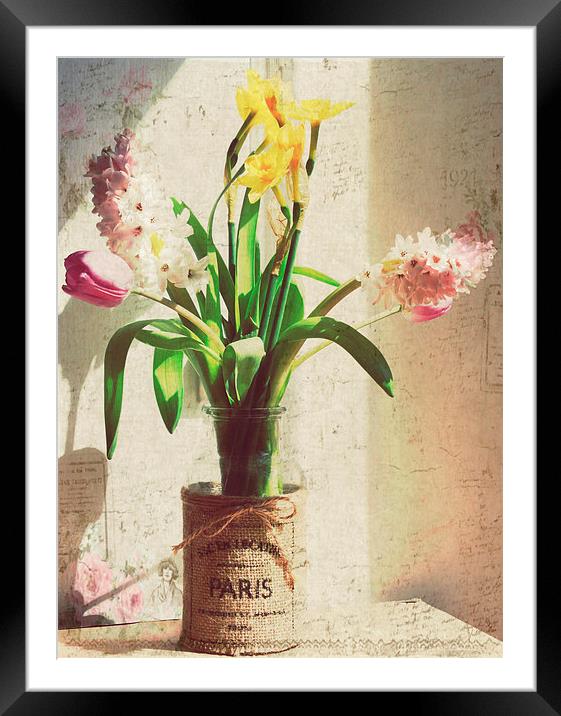  Spring Has Sprung.. Framed Mounted Print by Rosanna Zavanaiu