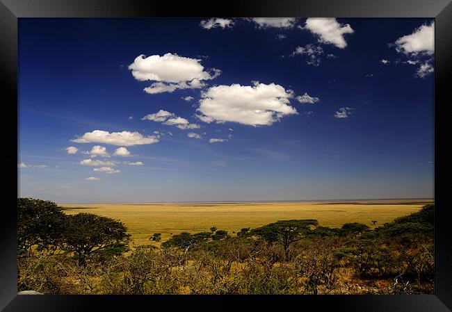 Serengeti's View Framed Print by Massimiliano Acquisti