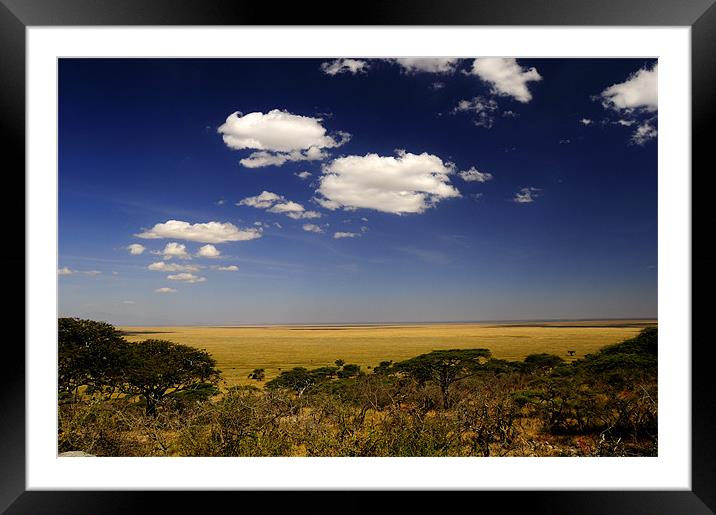 Serengeti's View Framed Mounted Print by Massimiliano Acquisti