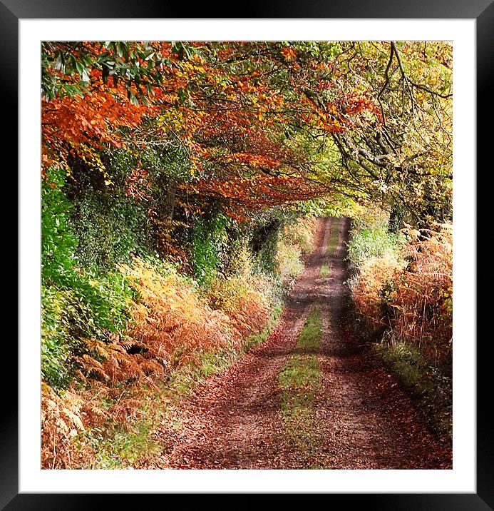 Autumn Track Framed Mounted Print by Christine Jeffrey