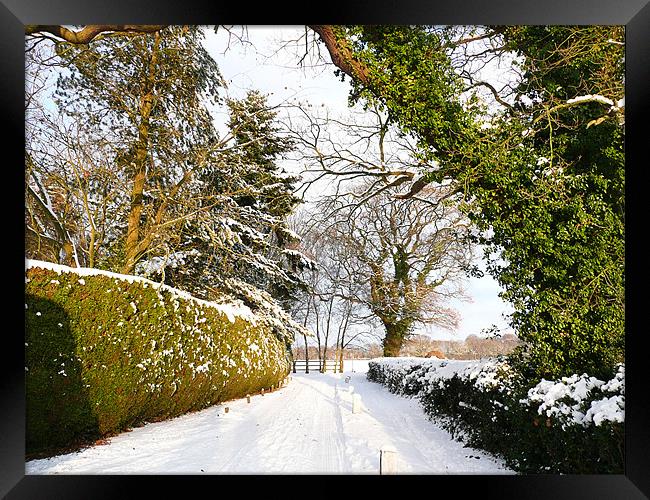 Winter Snow Framed Print by Christine Jeffrey