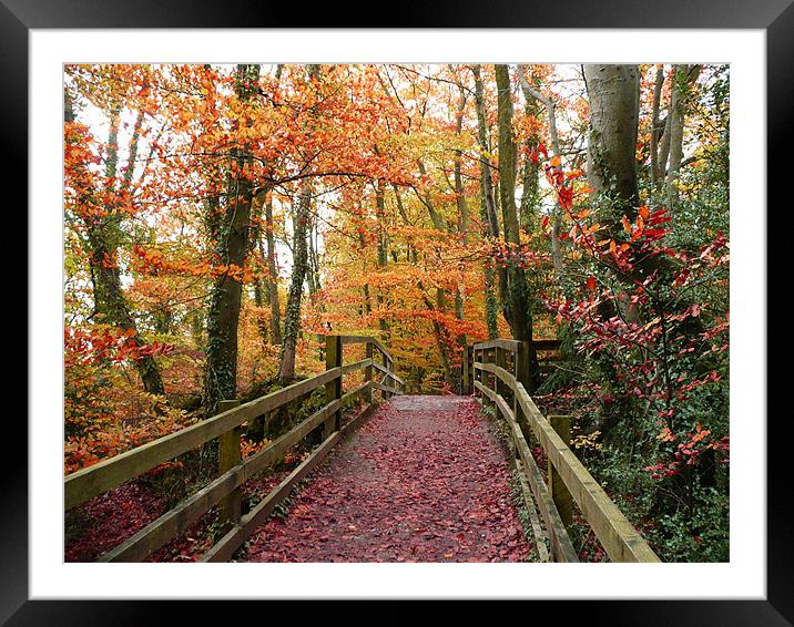 Autumn Path Framed Mounted Print by Christine Jeffrey