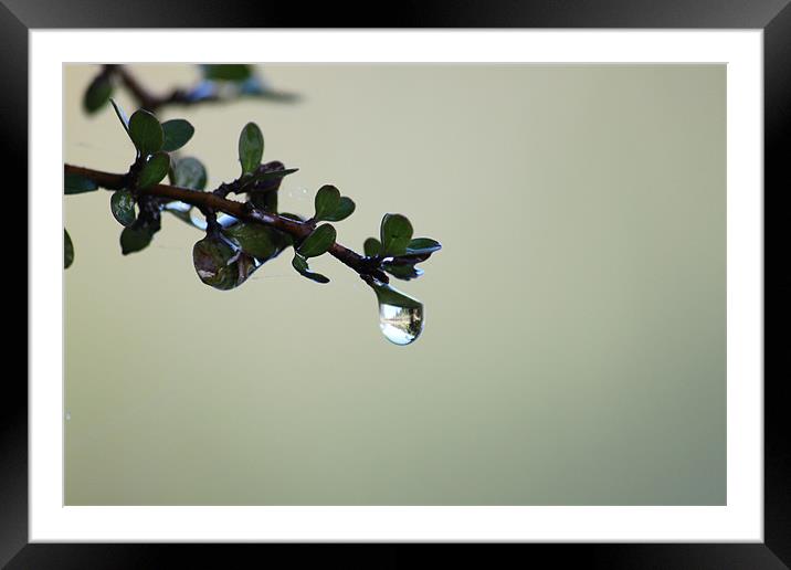 Water drop Framed Mounted Print by craig sivyer