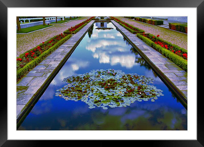 RELECTIONS Framed Mounted Print by Kevin Sung