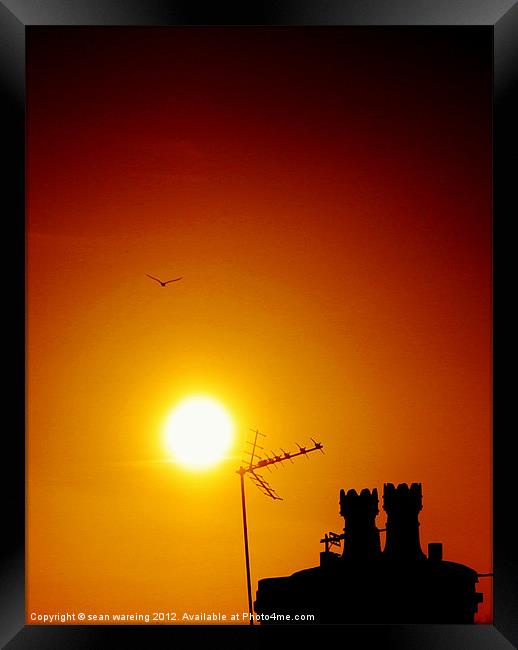 Rooftop sunset Framed Print by Sean Wareing