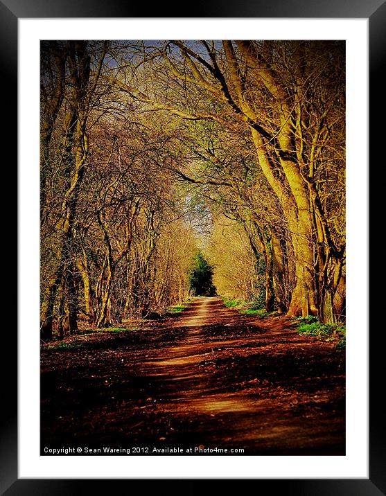 The short cut Framed Mounted Print by Sean Wareing