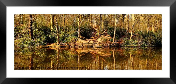 Spring reflections Framed Mounted Print by Sean Wareing