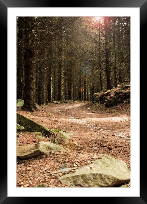 Forest Track Framed Mounted Print by Sean Wareing