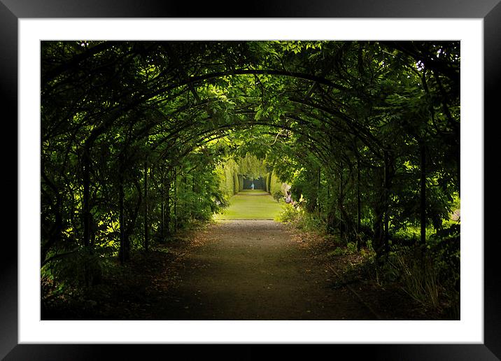 Tunnel Framed Mounted Print by Sean Wareing