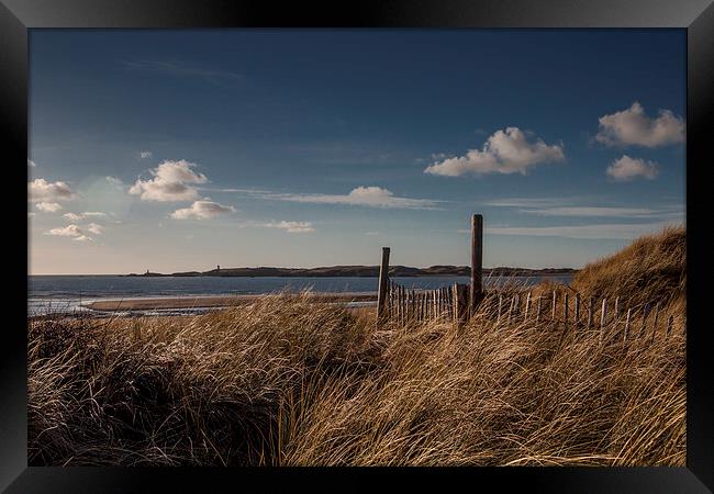 Over The Dunes Framed Print by Sean Wareing