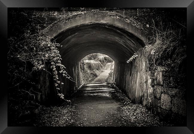 The Tunnel Framed Print by Sean Wareing