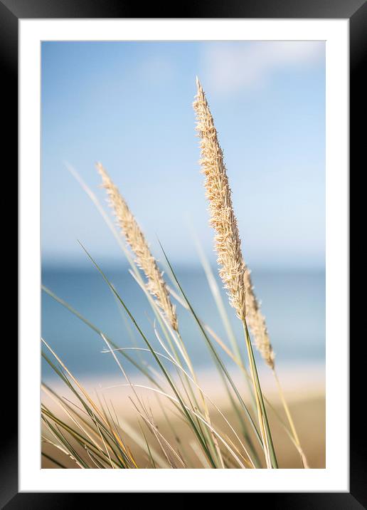 By the sea Framed Mounted Print by Sean Wareing