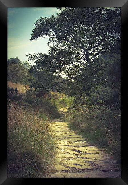  River Pathway Framed Print by Sean Wareing